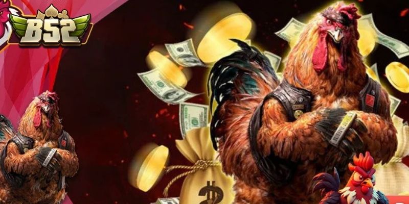 Đá gà B52 - Danh mục trải nghiệm chọi kê đỉnh cao ngay tại nhà
