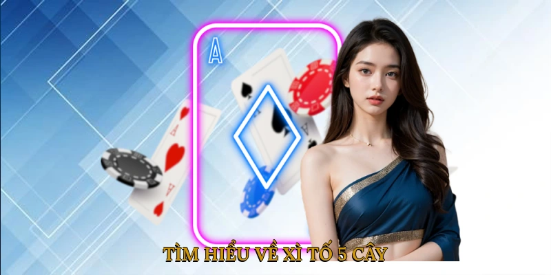 Tìm Hiểu Về Xì Tố 5 Cây