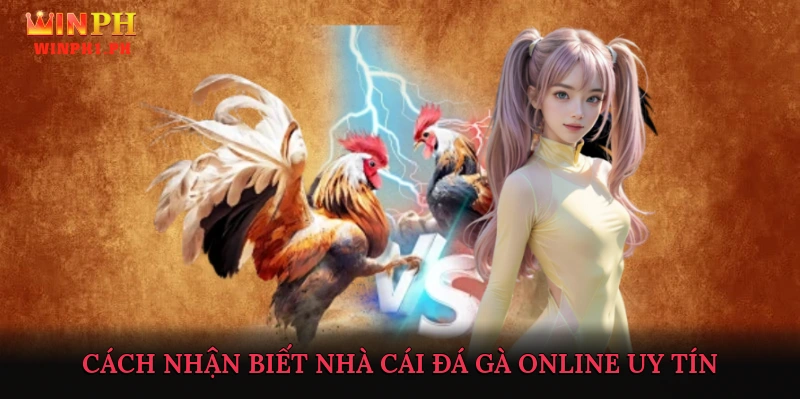 Cách Nhận Biết Nhà Cái Đá Gà Online Uy Tín