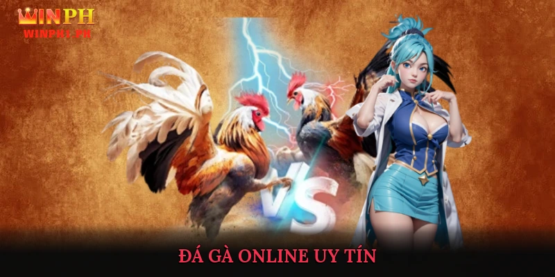 Đá Gà Online Uy Tín