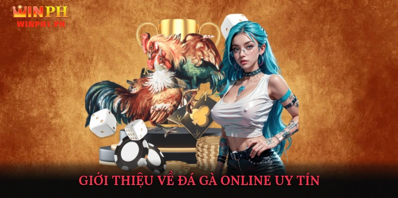 Giới Thiệu Về Đá Gà Online Uy Tín
