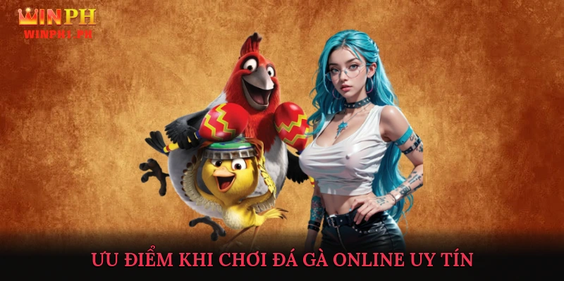 Ưu Điểm Khi Chơi Đá Gà Online Uy Tín